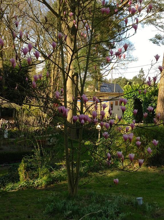 Holiday Home Harmony Brecht Bagian luar foto